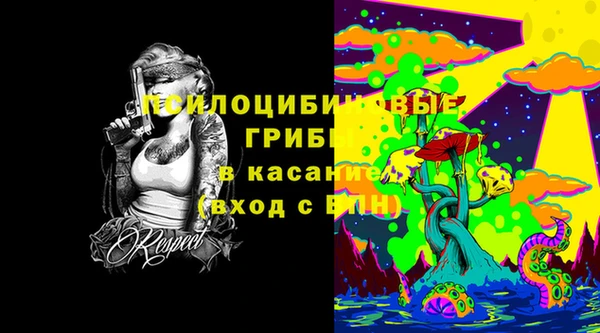 Альфа ПВП Арсеньев
