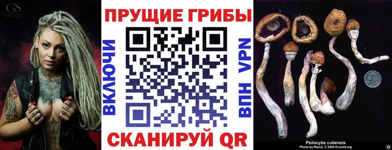 блэк спрут онион  Полысаево  Псилоцибиновые грибы Psilocybine cubensis 